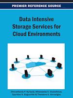 Data Intensive Storage Services for Cloud Environments