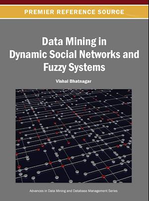 Data Mining in Dynamic Social Networks and Fuzzy Systems