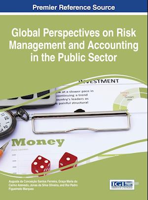 Global Perspectives on Risk Management and Accounting in the Public Sector
