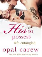 His to Possess #5: Entangled