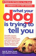 What Your Dog Is Trying To Tell You