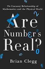 Are Numbers Real?