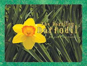 Dazzling Daffodil