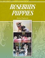 Rosebuds Puppies