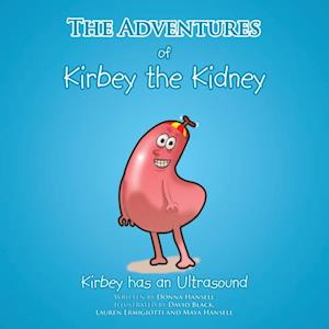 Adventures of Kirbey the Kidney