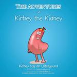 Adventures of Kirbey the Kidney