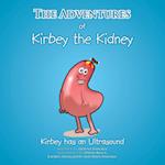 The Adventures of Kirbey the Kidney