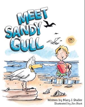 Meet Sandy Gull