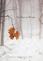 Bees in Winter