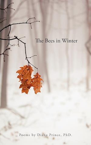 The Bees in Winter