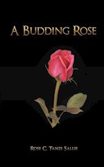 A Budding Rose