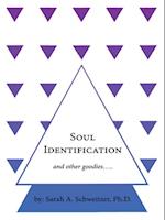 Soul Identification and Other Goodies.....