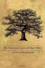 Fourteen Lives of Matt Perry