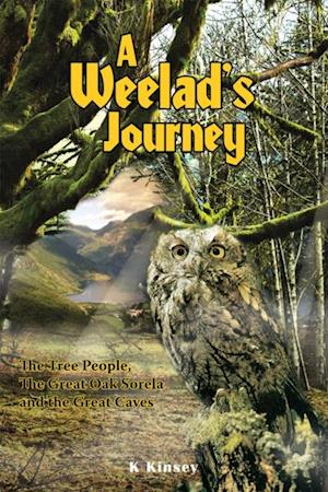 Weelad's Journey