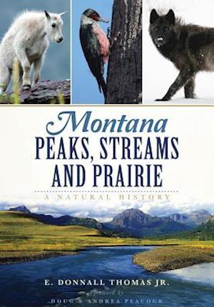 Montana Peaks, Streams and Prairie