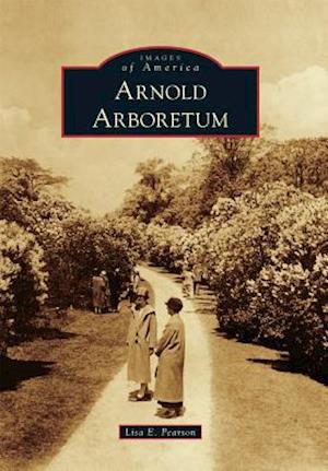 Arnold Arboretum