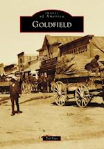 Goldfield