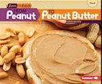 From Peanut to Peanut Butter