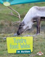 Tundra Food Webs in Action