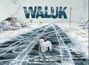 Waluk