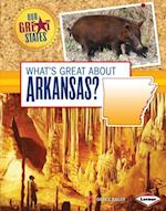 What's Great about Arkansas?