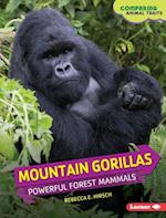 Mountain Gorillas