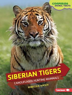 Siberian Tigers