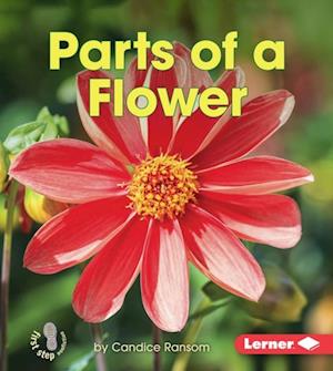 Parts of a Flower