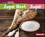 From Sugar Beet to Sugar