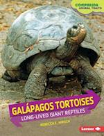 Galápagos Tortoises
