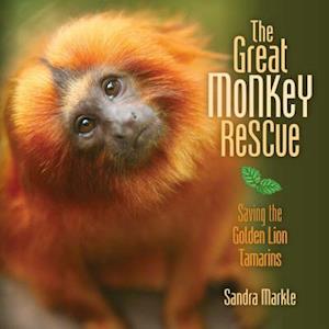 The Great Monkey Rescue