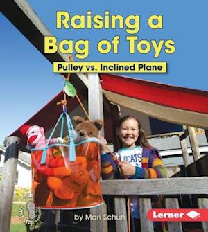 Raising a Bag of Toys