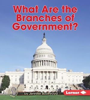 What Are the Branches of Government?