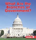 What Are the Branches of Government?