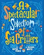Spectacular Selection of Sea Critters