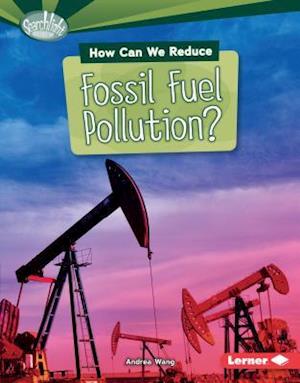 How Can We Reduce Fossil Fuel Pollution?