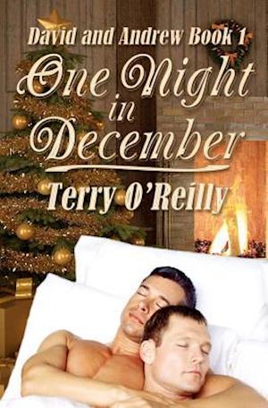 David and Andrew Book 1: One Night in December