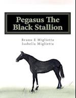 Pegasus the Black Stallion