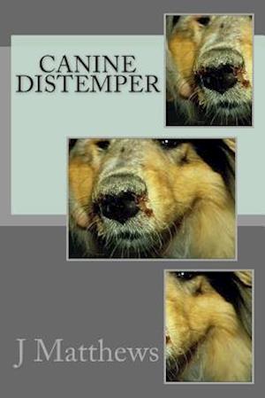 Alle slags Es Ged Få Canine Distemper af J. R. Matthews Ma som Paperback bog på engelsk