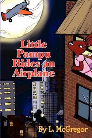 Little Pampu Rides an Airplane