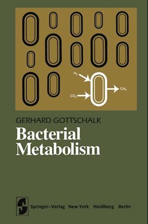 Bacterial Metabolism