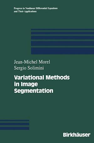 Variational Methods in Image Segmentation