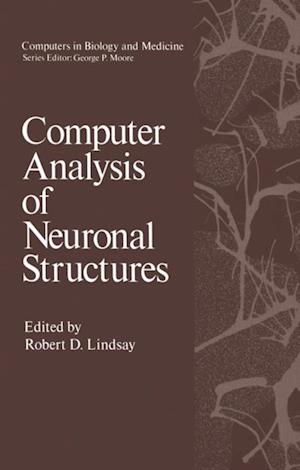 Computer Analysis of Neuronal Structures