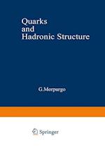 Quarks and Hadronic Structure