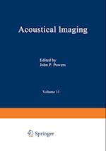 Acoustical Imaging