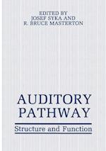 Auditory Pathway