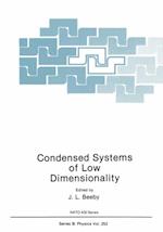 Condensed Systems of Low Dimensionality