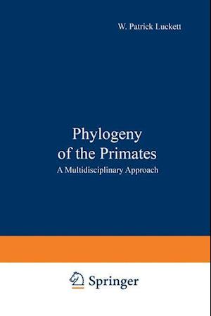 Phylogeny of the Primates