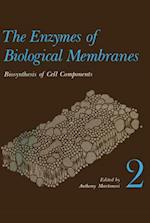 Enzymes of Biological Membranes