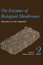 The Enzymes of Biological Membranes